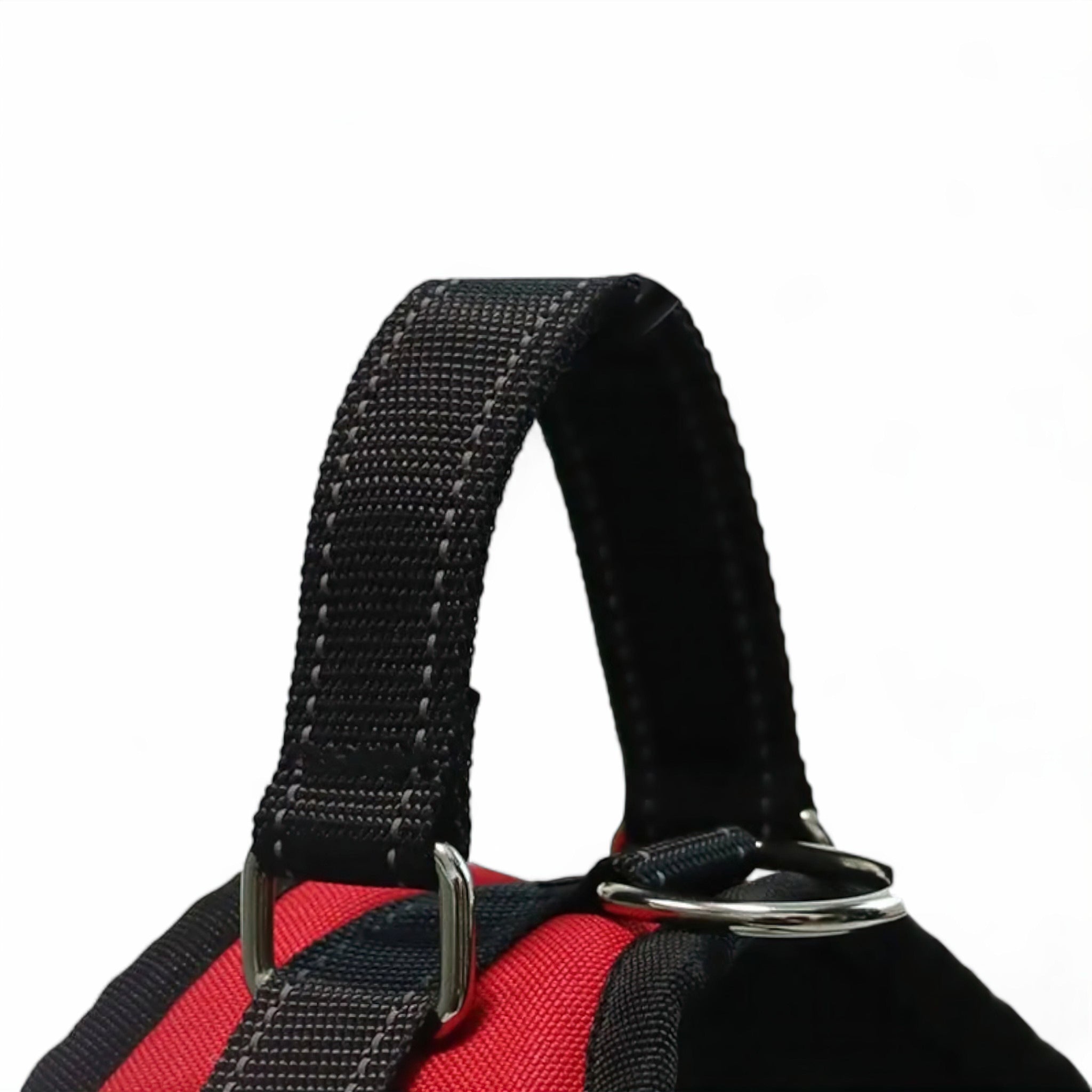 Paws Fit Harness Collar Luxe Pet Store 