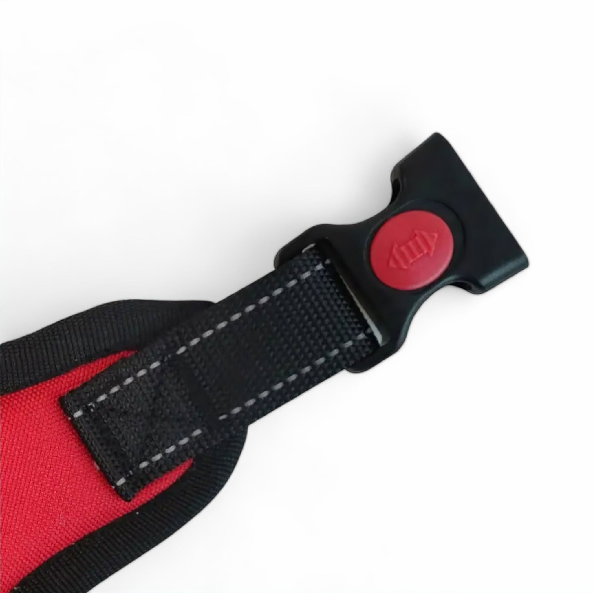 Paws Fit Harness Collar Luxe Pet Store 