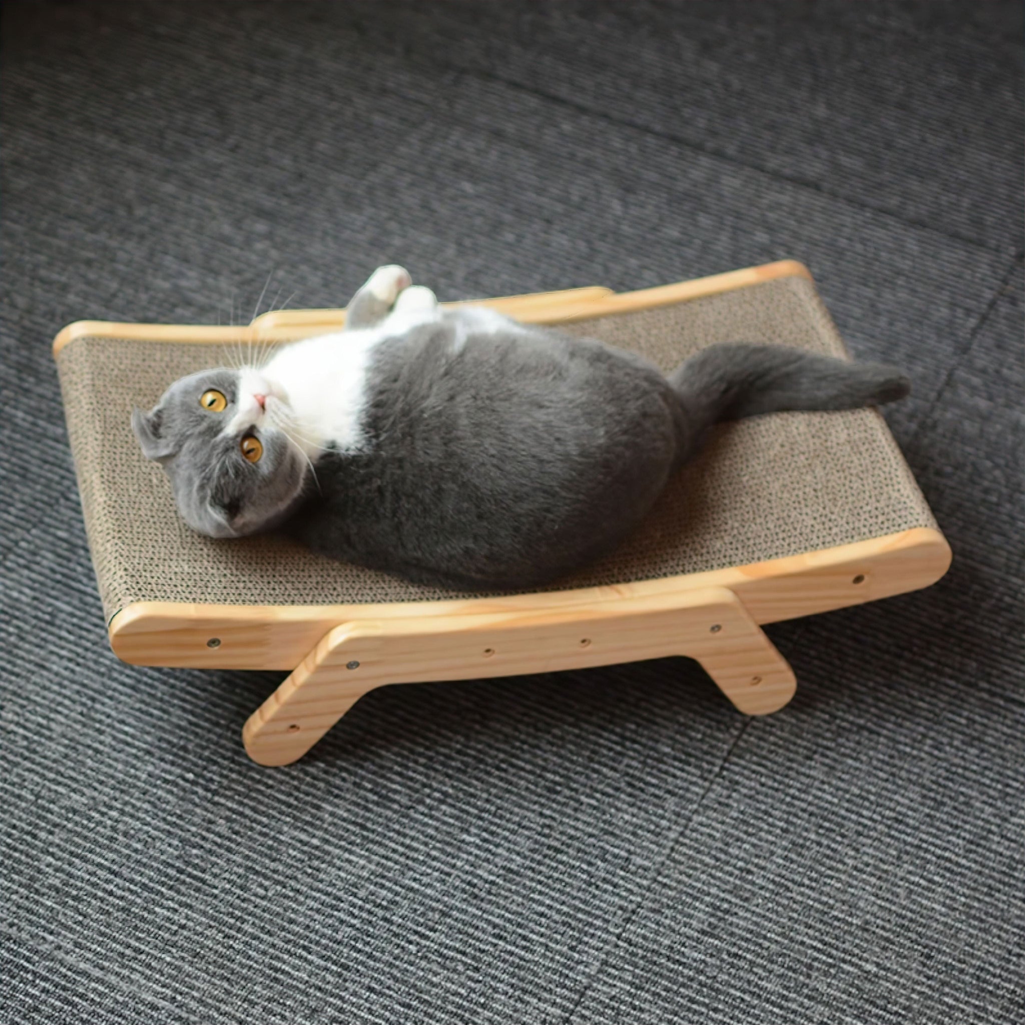 Purrfect Scratch n Snooze Cat Bed Luxe Pet Store 