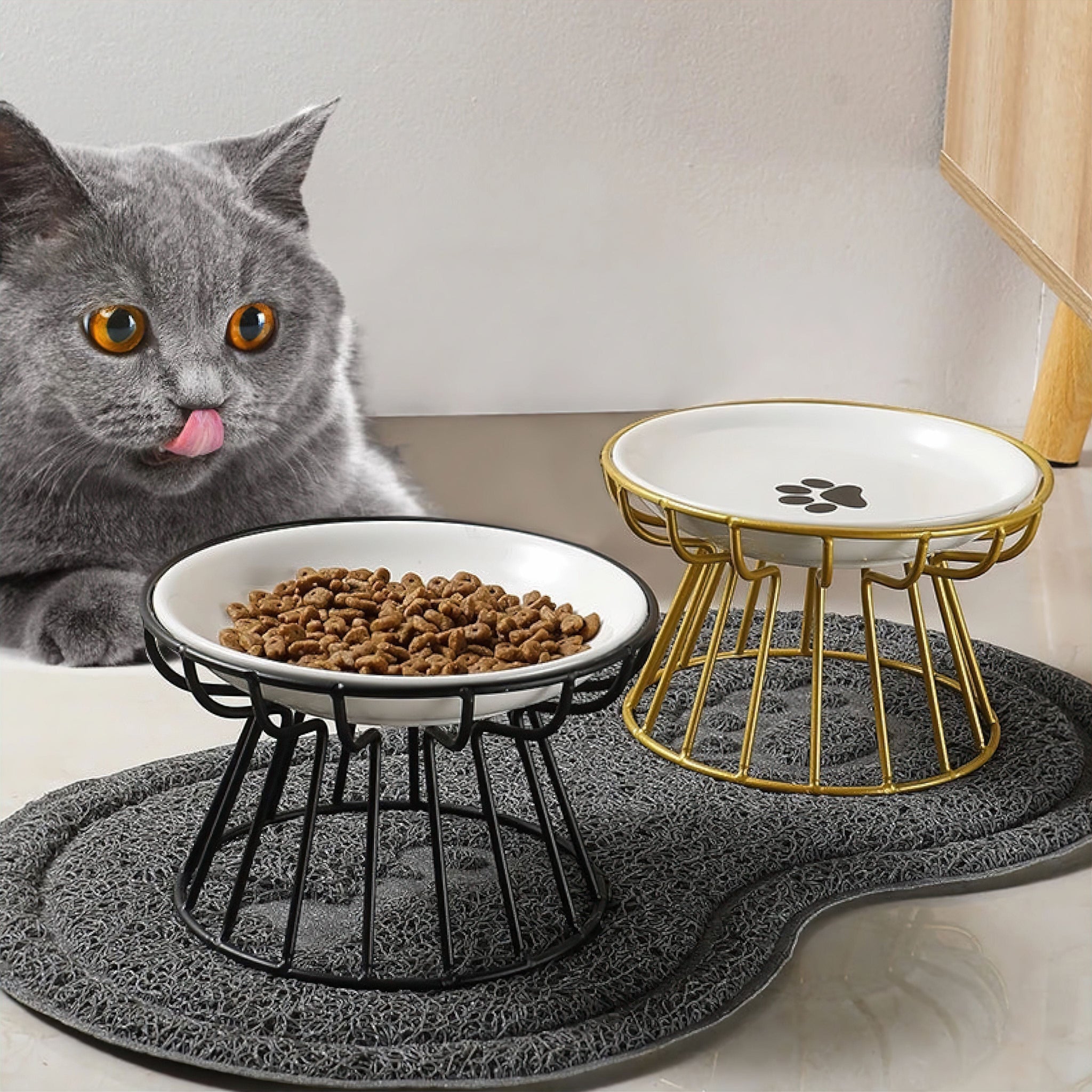 Elevated Ceramic Pet Bowl cat bowl Luxe Pet Store 