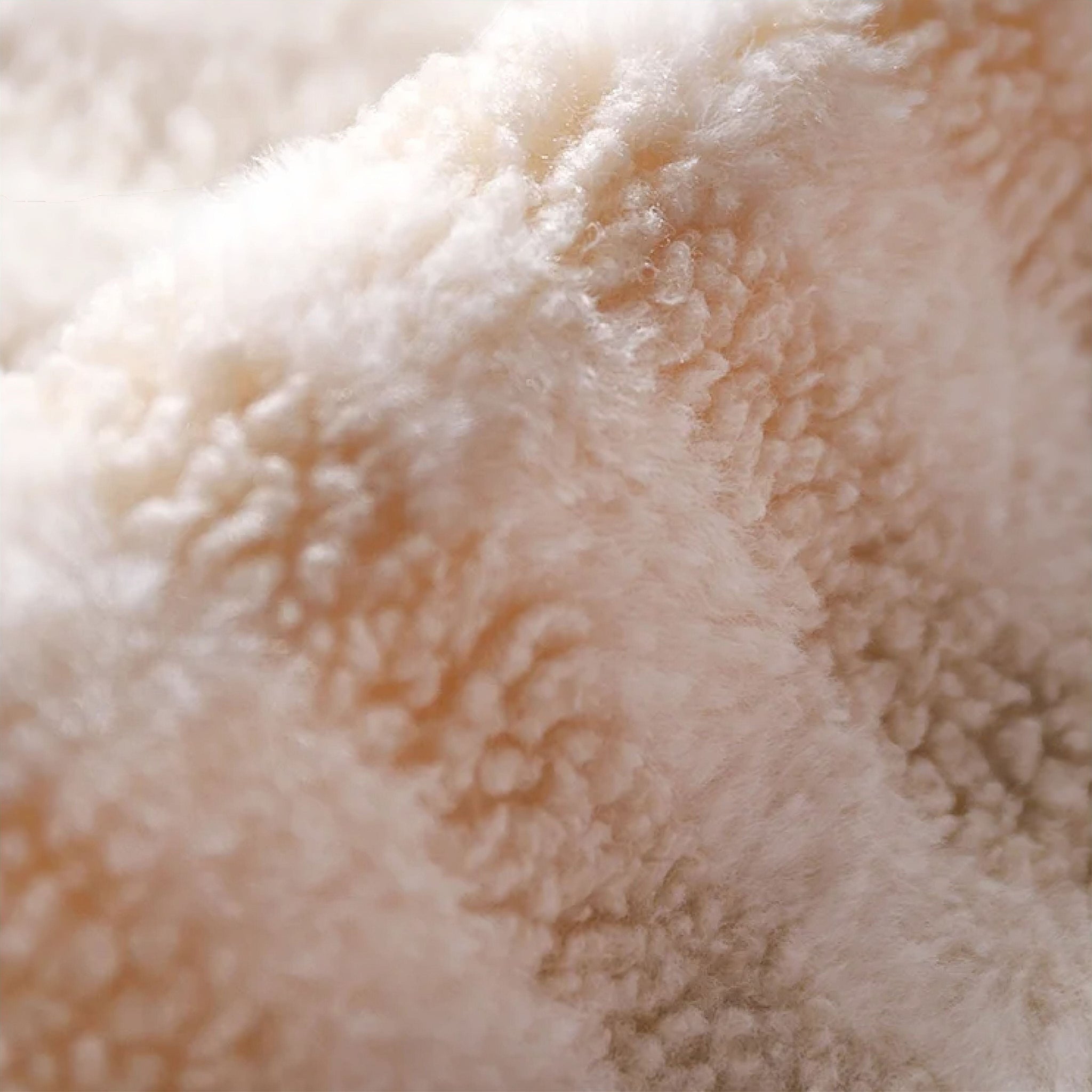Plush Bear Bed Pet Bed Luxe Pet Store 
