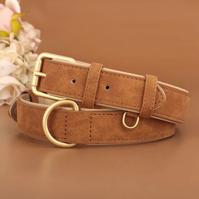 Pawfect Pup Collar Collar USAdrop Brown S 
