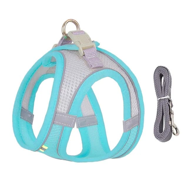 Pet Venture Harness & Leash Harness Luxe Pet Store Blue Green XXS 