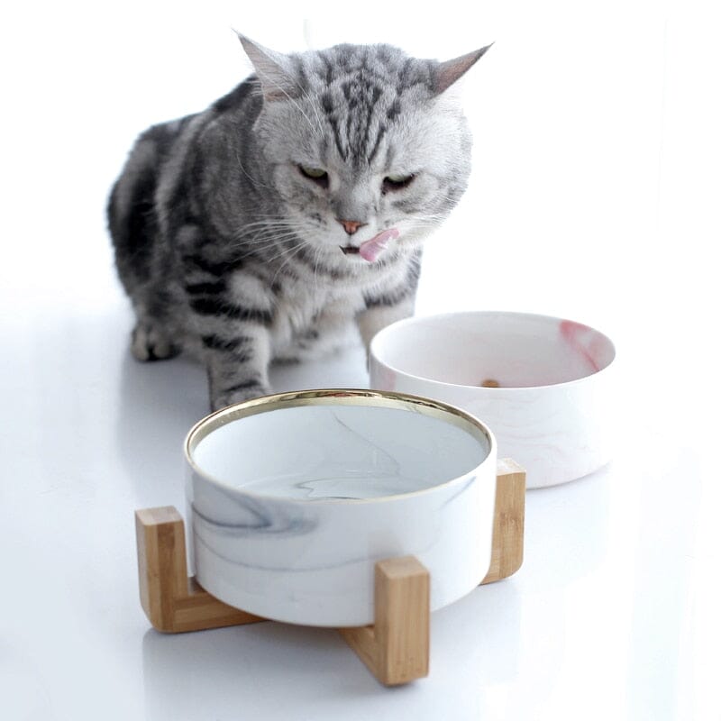 Paws & Plates bowl USAdrop 