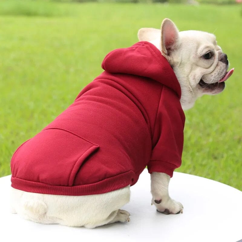 Paw Pocket Cozy Hoodie Dog Clothing Luxe Pet Store 