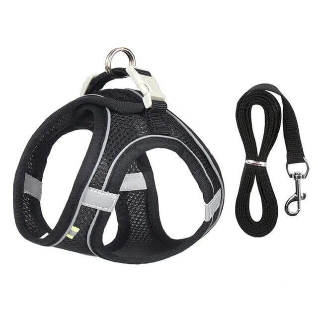 Pet Venture Harness & Leash Harness Luxe Pet Store Black XXS 