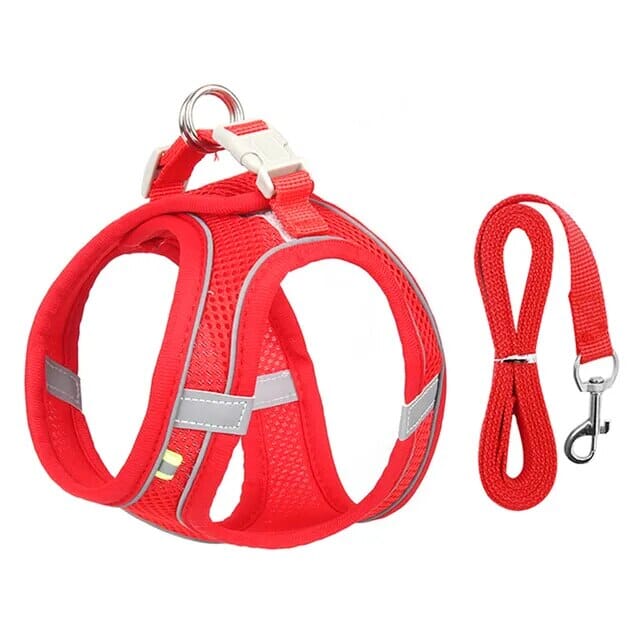 Pet Venture Harness & Leash Harness Luxe Pet Store Red XXS 