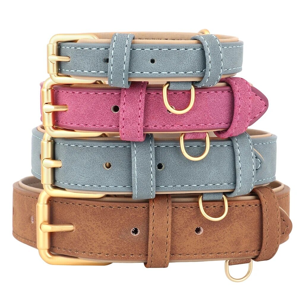 Pawfect Pup Collar Collar USAdrop 