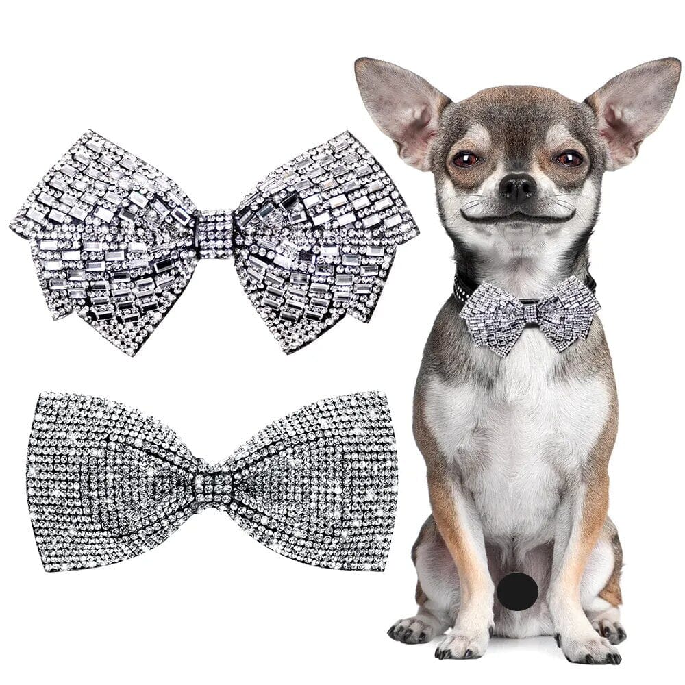 Exquisite Dog Collar Bow Collar USAdrop 