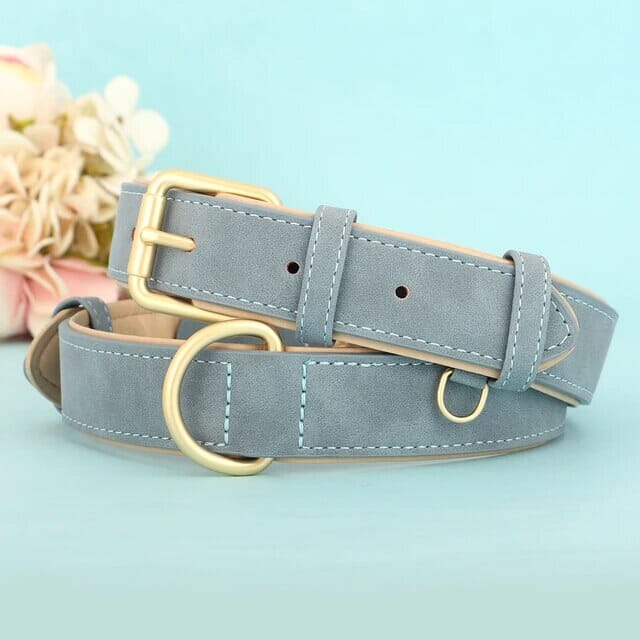 Pawfect Pup Collar Collar USAdrop Blue S 