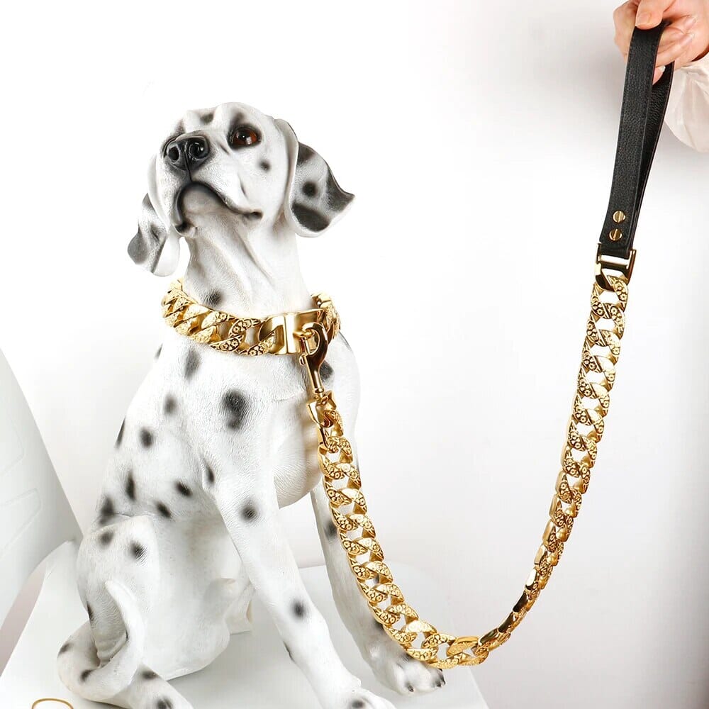 Stylish Pet Collar leash USAdrop 